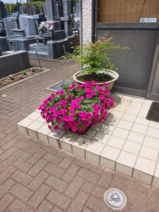 お客様をお花でお出迎え③