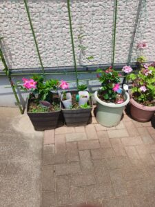 お客様をお花でお出迎え②