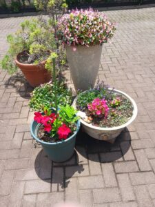 お客様をお花でお出迎え①