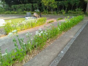 お盆の準備が進んでいます｜我孫子市の延寿の郷霊園